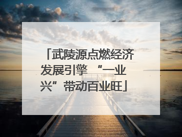 武陵源点燃经济发展引擎 “一业兴”带动百业旺