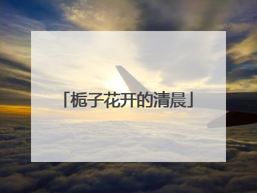 栀子花开的清晨