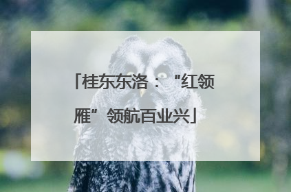 桂东东洛：“红领雁”领航百业兴
