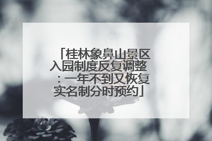 桂林象鼻山景区入园制度反复调整：一年不到又恢复实名制分时预约