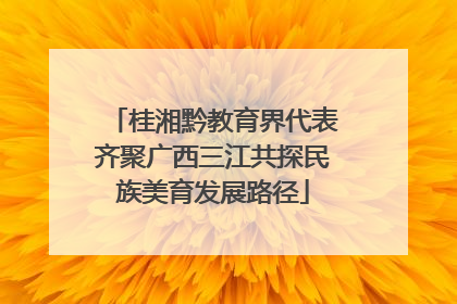 桂湘黔教育界代表齐聚广西三江共探民族美育发展路径