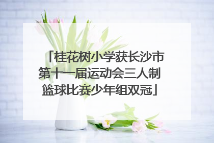 桂花树小学获长沙市第十一届运动会三人制篮球比赛少年组双冠