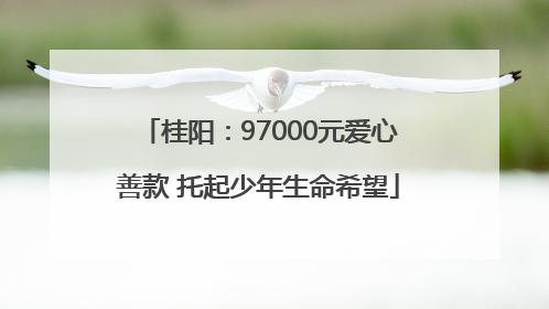 桂阳：97000元爱心善款 托起少年生命希望