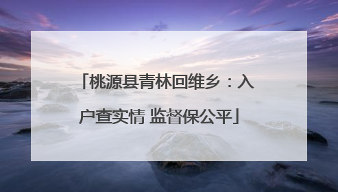 桃源县青林回维乡：入户查实情 监督保公平