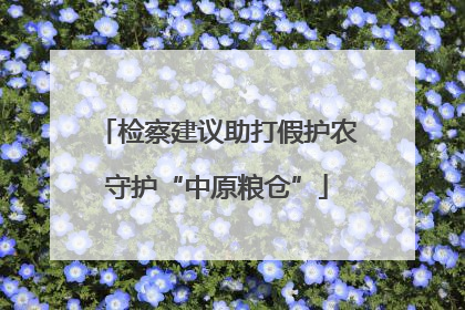 检察建议助打假护农守护“中原粮仓”