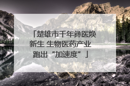 楚雄市千年彝医焕新生 生物医药产业跑出“加速度”