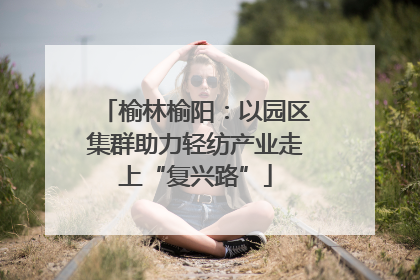 榆林榆阳：以园区集群助力轻纺产业走上“复兴路”