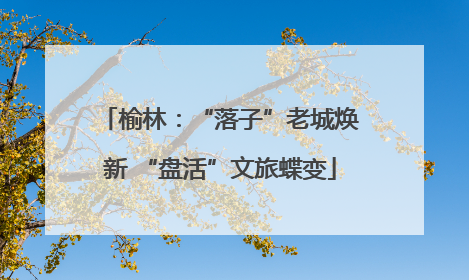 榆林：“落子”老城焕新 “盘活”文旅蝶变