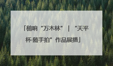 槌响“万木林”｜“天平杯·随手拍”作品展播