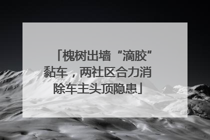 槐树出墙“滴胶”黏车，两社区合力消除车主头顶隐患