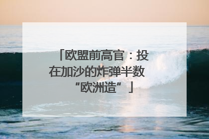欧盟前高官：投在加沙的炸弹半数“欧洲造”