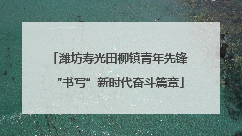 潍坊寿光田柳镇青年先锋“书写”新时代奋斗篇章