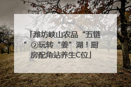 潍坊峡山农品“五链”②玩转“姜”湖！厨房配角站养生C位