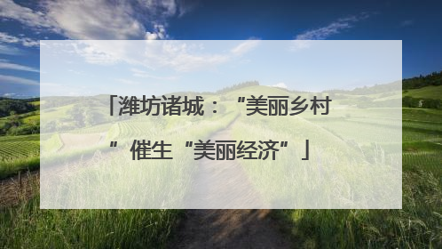 潍坊诸城：“美丽乡村”催生“美丽经济”