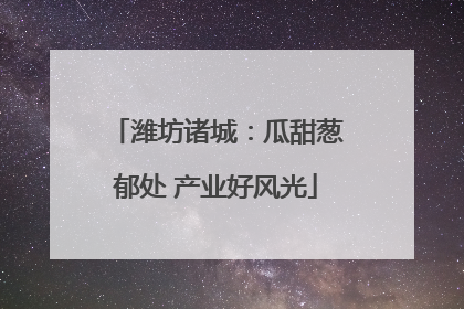 潍坊诸城：瓜甜葱郁处 产业好风光