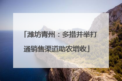潍坊青州：多措并举打通销售渠道助农增收