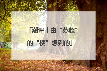 潮评丨由“苏超”的“梗”想到的