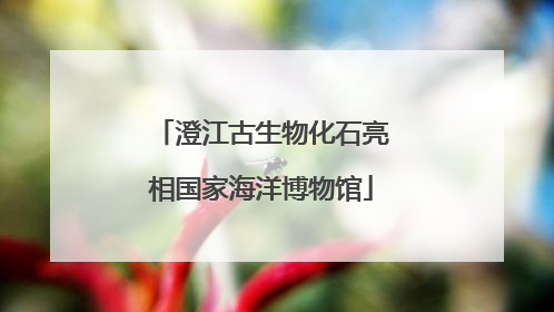 澄江古生物化石亮相国家海洋博物馆
