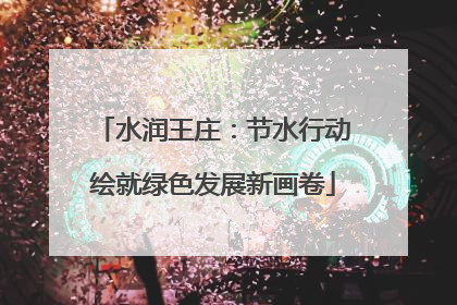 水润王庄：节水行动绘就绿色发展新画卷