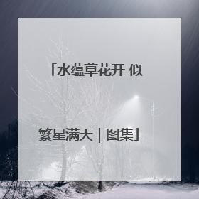 水蕴草花开 似繁星满天｜图集