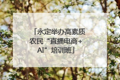 永定举办高素质农民“直播电商+AI”培训班