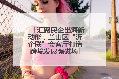 汇聚民企出海新动能，兰山区“沂企联”会客厅打造跨境发展强磁场