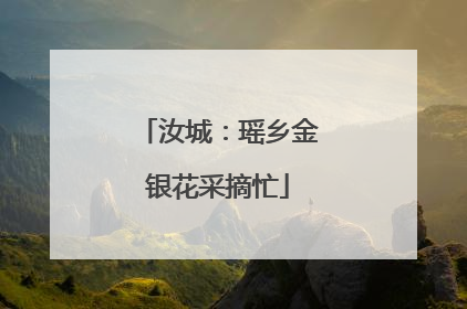 汝城：瑶乡金银花采摘忙