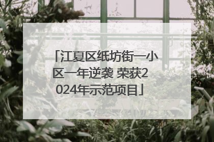 江夏区纸坊街一小区一年逆袭 荣获2024年示范项目