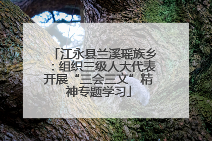 江永县兰溪瑶族乡：组织三级人大代表开展“三会三文”精神专题学习