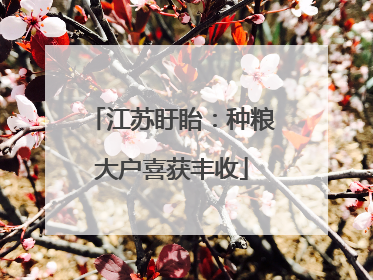 江苏盱眙：种粮大户喜获丰收