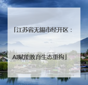江苏省无锡市经开区：AI赋能教育生态重构