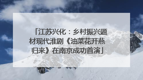 江苏兴化：乡村振兴题材现代淮剧《油菜花开燕归来》在南京成功首演