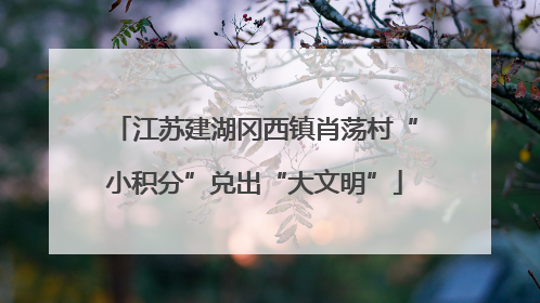 江苏建湖冈西镇肖荡村“小积分”兑出“大文明”