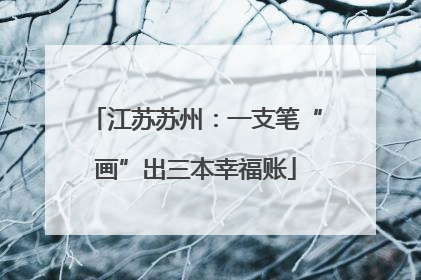 江苏苏州：一支笔“画”出三本幸福账