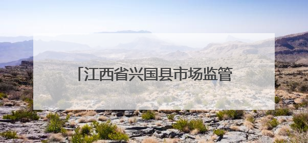 江西省兴国县市场监管局城岗分局：送年报指导上门 解商户服务难题