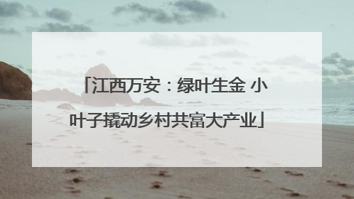 江西万安：绿叶生金 小叶子撬动乡村共富大产业