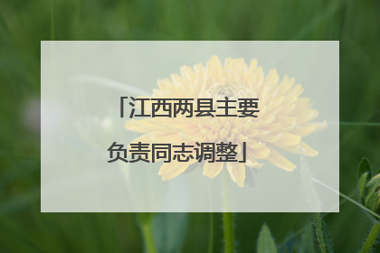 江西两县主要负责同志调整