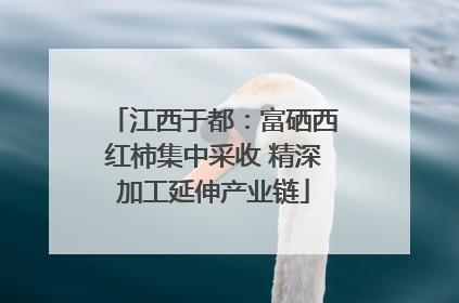 江西于都：富硒西红柿集中采收 精深加工延伸产业链