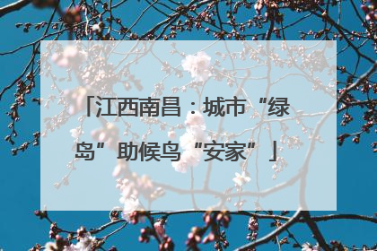 江西南昌：城市“绿岛”助候鸟“安家”