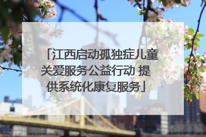 江西启动孤独症儿童关爱服务公益行动 提供系统化康复服务