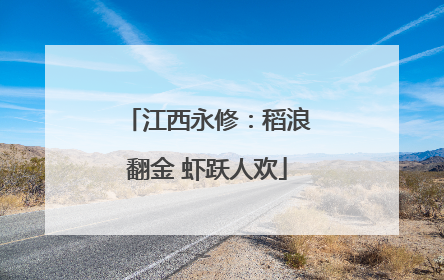 江西永修：稻浪翻金 虾跃人欢