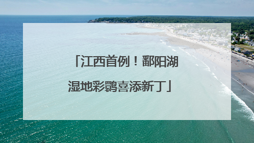 江西首例！鄱阳湖湿地彩鹮喜添新丁