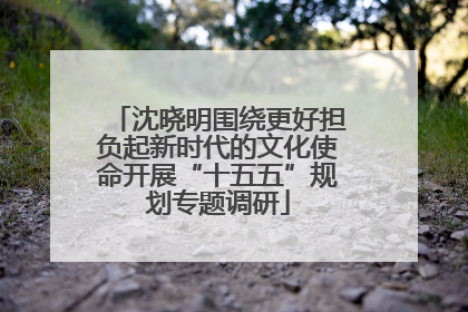 沈晓明围绕更好担负起新时代的文化使命开展“十五五”规划专题调研