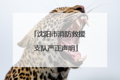 沈阳市消防救援支队严正声明