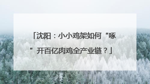沈阳：小小鸡架如何“啄”开百亿肉鸡全产业链？