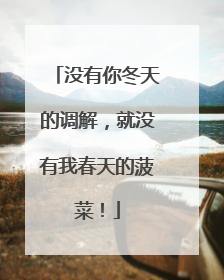 没有你冬天的调解，就没有我春天的菠菜！