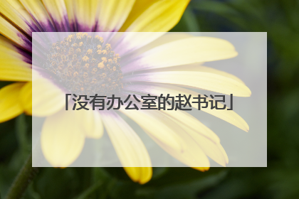 没有办公室的赵书记