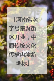 河南省老字号集聚街区开业，中原传统文化传承再添新地标