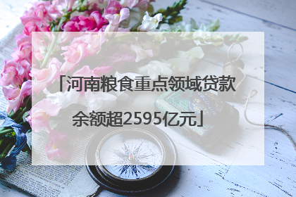 河南粮食重点领域贷款余额超2595亿元