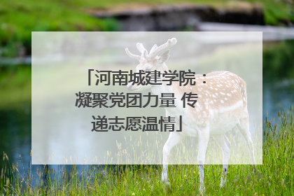 河南城建学院：凝聚党团力量 传递志愿温情